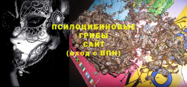 МДПВ Бородино