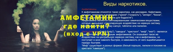 МДПВ Бородино