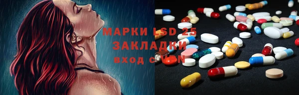 ALPHA PVP Остров