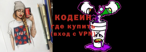 МДПВ Бородино