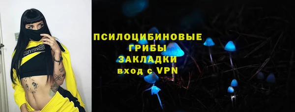 ALPHA PVP Остров