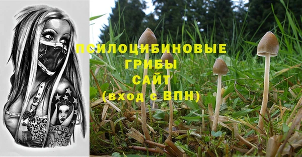 ALPHA PVP Остров
