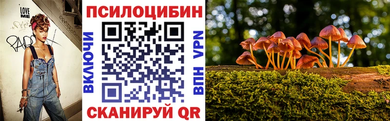 Галлюциногенные грибы GOLDEN TEACHER Камышин